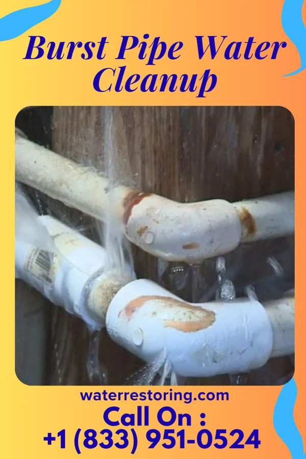 Burst Pipe Water Cleanup in Equality, IL