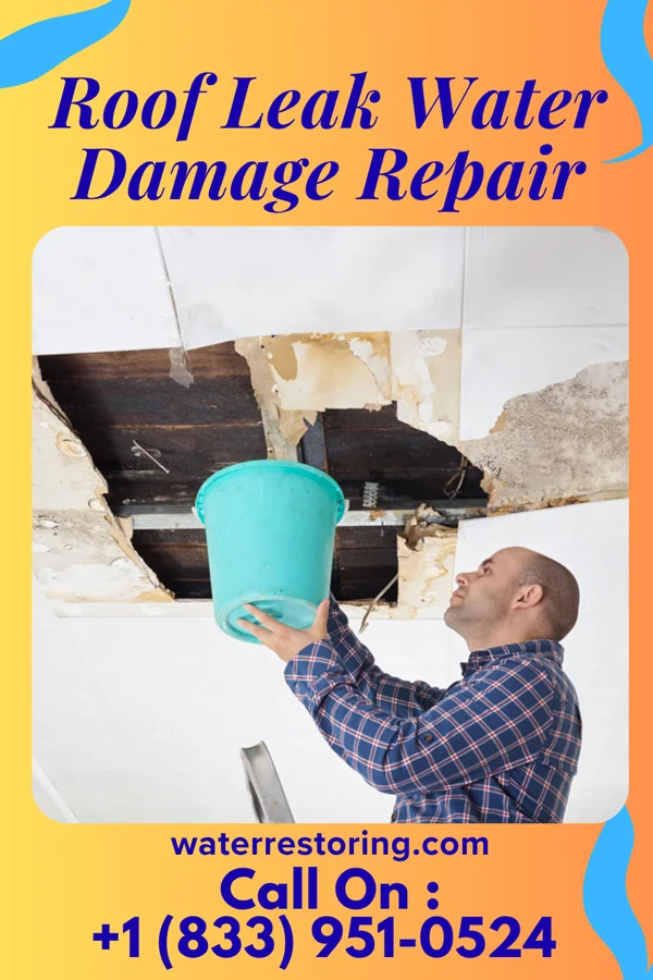 Roof Leak Water Damage Repair in Equality, IL